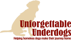 Unforgettable Underdogs logo